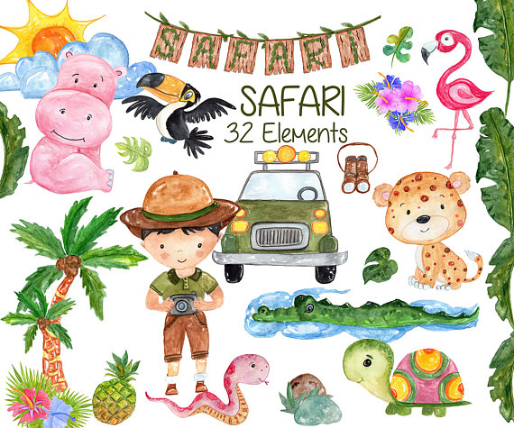570x475 Watercolor Safari Animals Clipart African Animals Wild Animals