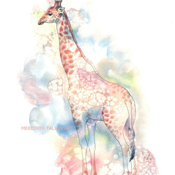 354x354 Whale Painting