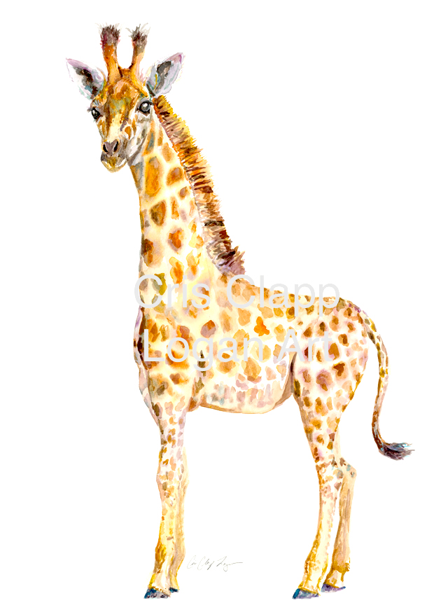 640x864 Baby Giraffe Original Safari Watercolor Painting