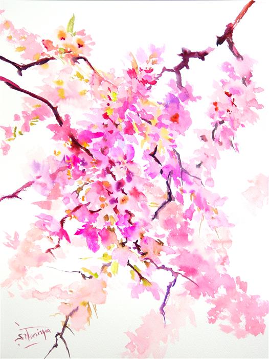 526x700 Sakura Blossom