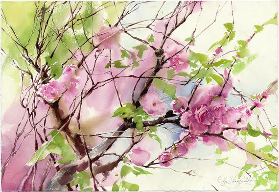 570x392 Sakura Painting Watercolor Original Cherry Blossoms Art Print Etsy