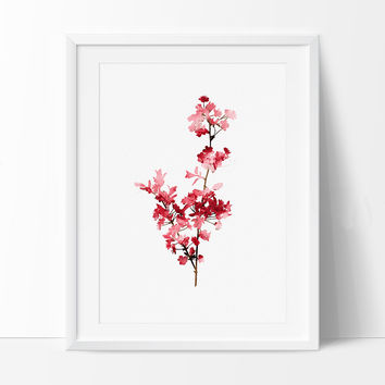354x354 Shop Cherry Blossom Tree Painting On Wanelo