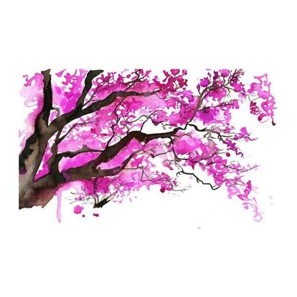 600x600 Watercolor Japanese Cherry Blossom Tree Painting, Jessica Durrant
