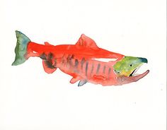 Salmon Watercolor