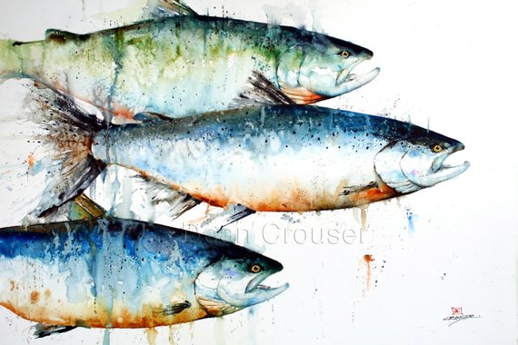 570x380 Salmon Watercolor Fish Art Print Salmon Painting Fish Print Etsy
