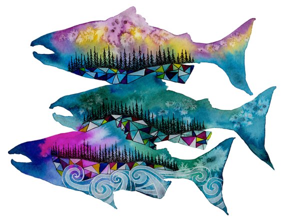 570x444 Salmon Print Salmon Art Salmon Watercolor Salmon Painting Etsy