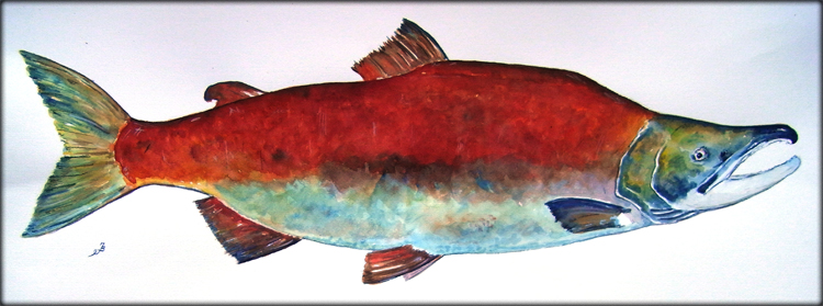 750x279 San Martin Arts Crafts Sockeye Salmon