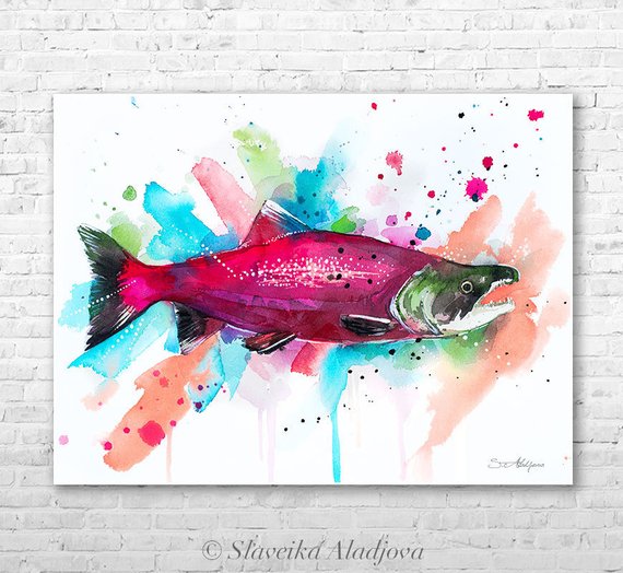 570x524 Sockeye Salmon Watercolor Painting Print By Slaveika Aladjova