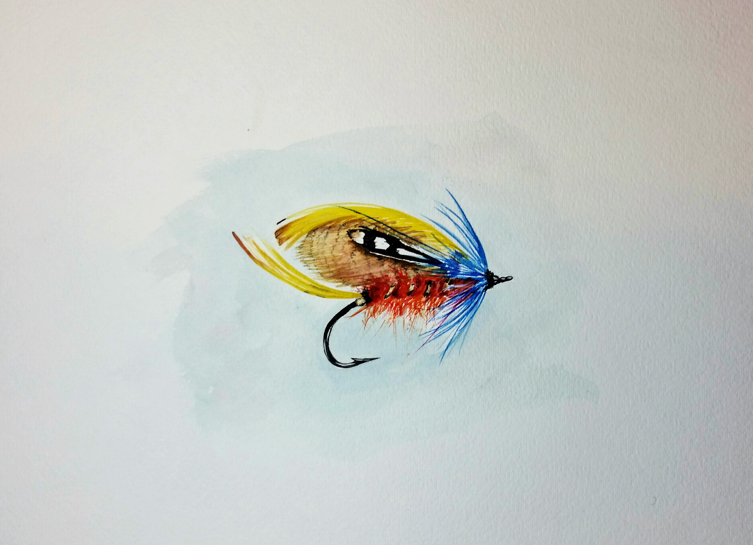 2626x1904 Vintage Salmon, Watercolor On Paper. As An Artist I Am Drawn To