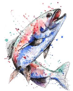 236x295 How To Watercolor Salmon