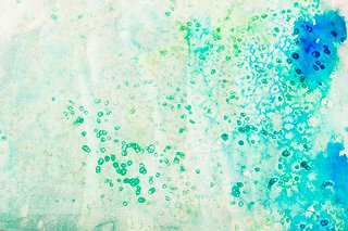 320x213 Salt Resist Painting