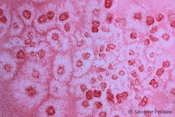 600x400 How To Add Visual Texture To Watercolor And Acrylic Washes.