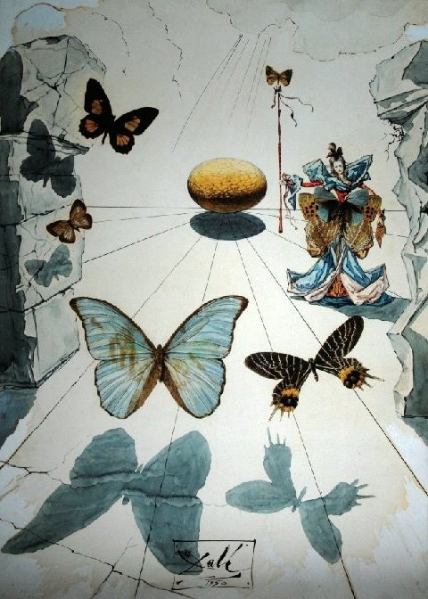 480x672 Salvador Dali Butterflies Painting Best Butterflies Paintings
