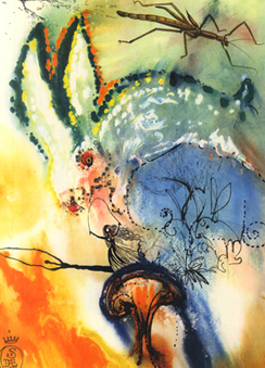 244x339 Salvador Dali