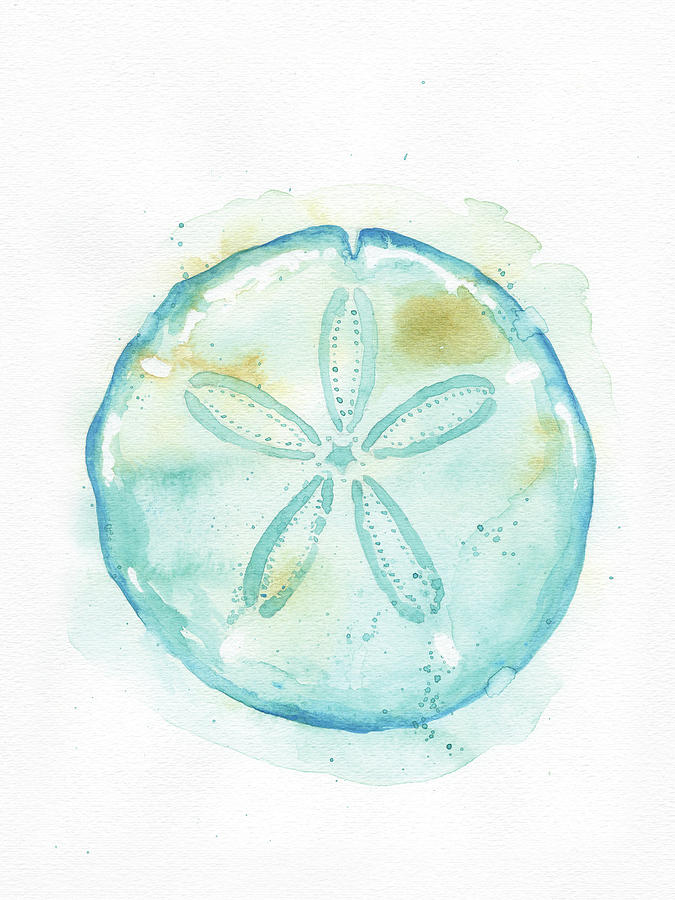 675x900 Sand Dollar Painting By Dream Pigment