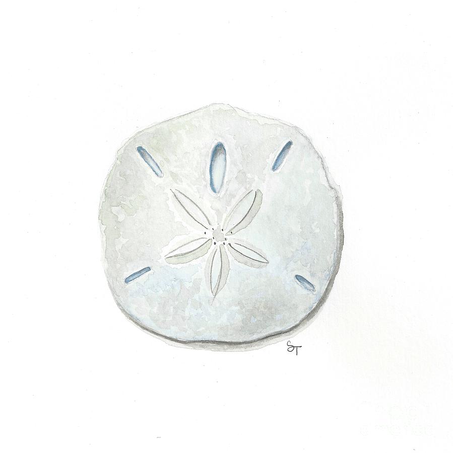 899x900 Sand Dollar Painting By Stephanie Troxell