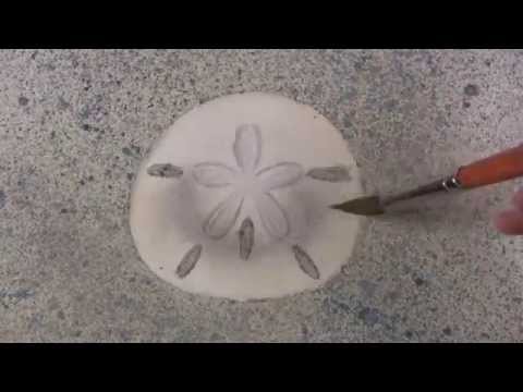 480x360 Watercolor How To Paint A Sand Dollar