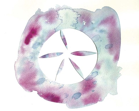 480x384 Watercolor Sand Dollar Fine Art Print By Summer Tali Hilty
