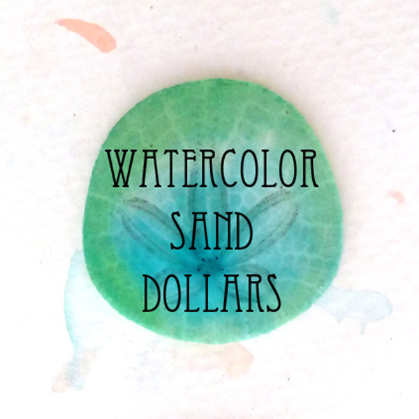 600x600 Diy Watercolor Sand Dollars Making Mondays