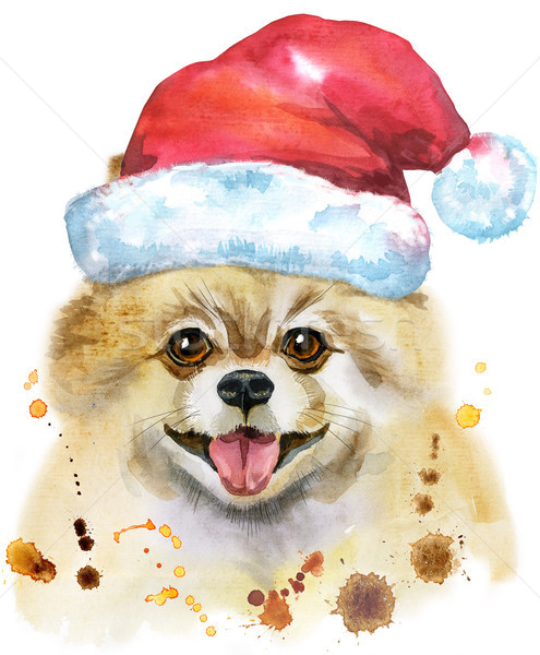 495x600 Watercolor Portrait Of Dog Pomeranian Spitz With Santa Hat Stock