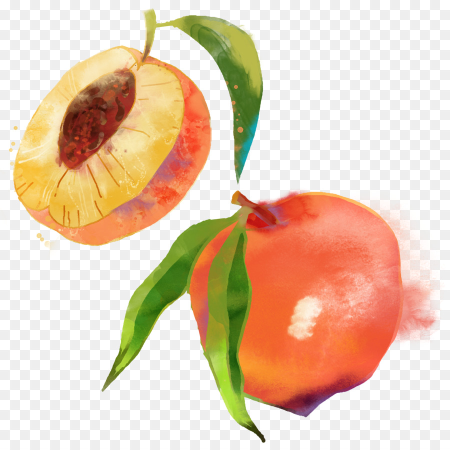 900x900 Saturn Peach Fruit Watercolor Painting
