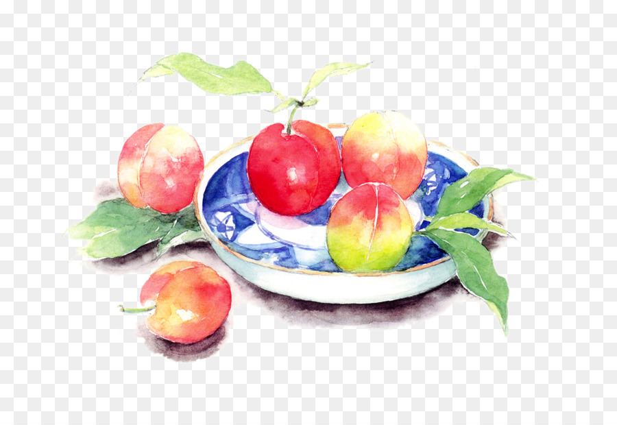 900x620 Saturn Peach Still Life Watercolor Painting Art