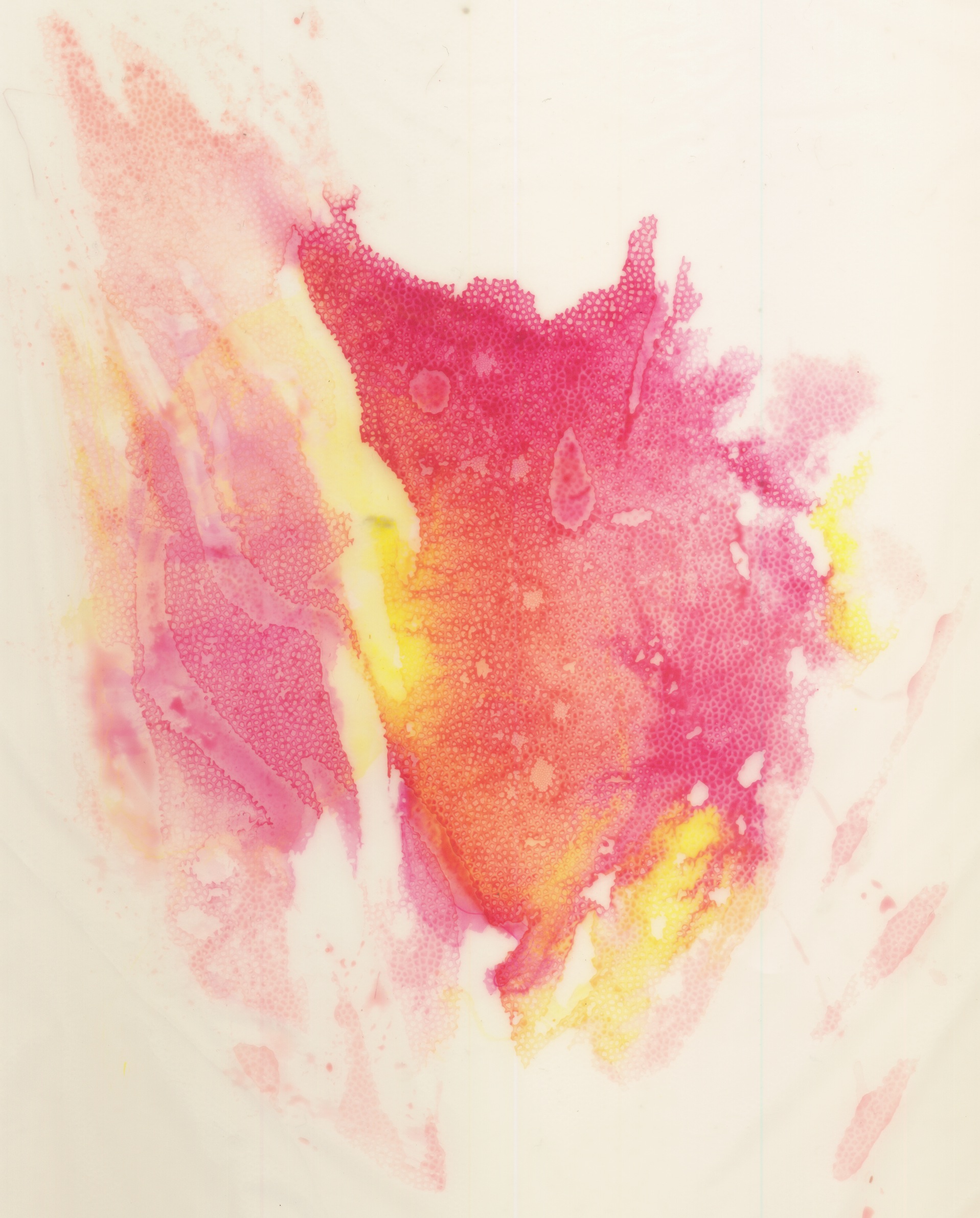 1917x2382 Heart Conscious Art Show Portfolio Of Rukmini Poddar