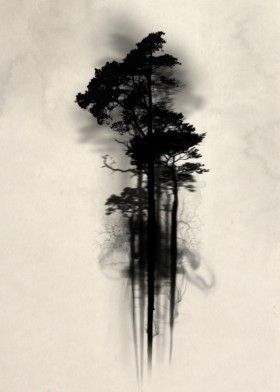 280x392 Forest Wood Woods Mist Fog Watercolor Tree Trees Floating Mystical