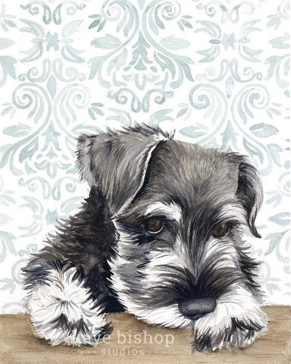 570x712 Mini Schnauzer Watercolor Painting Animal Art Schnauzer Etsy