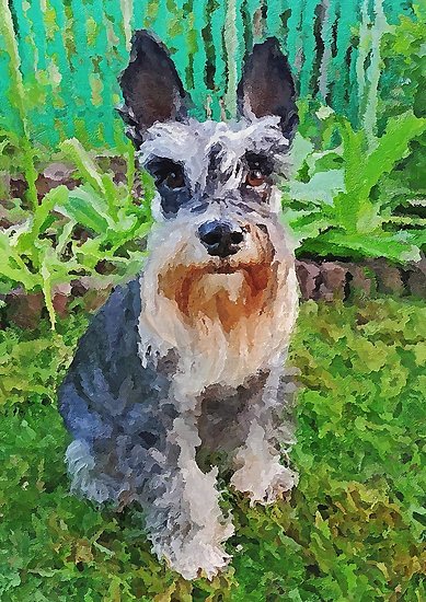 389x550 Miniature Schnauzer, Watercolor Miniature Schnauzer, Schnauzer