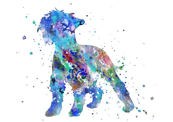 550x389 Miniature Schnauzer, Watercolor Schnauzer, Schnauzer Posters By