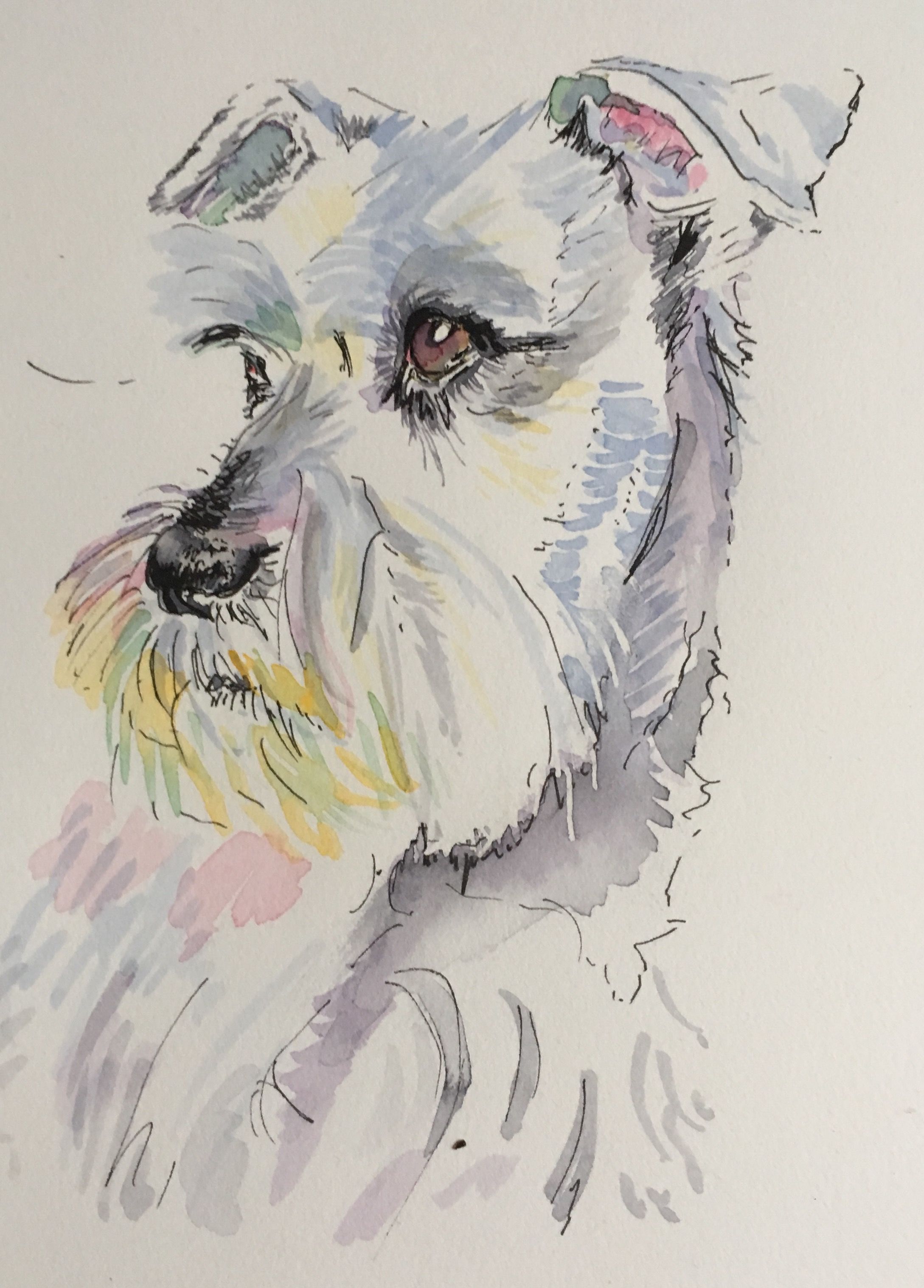 2177x3033 Schnauzer. Watercolour By Lynda Bellmann Dogs
