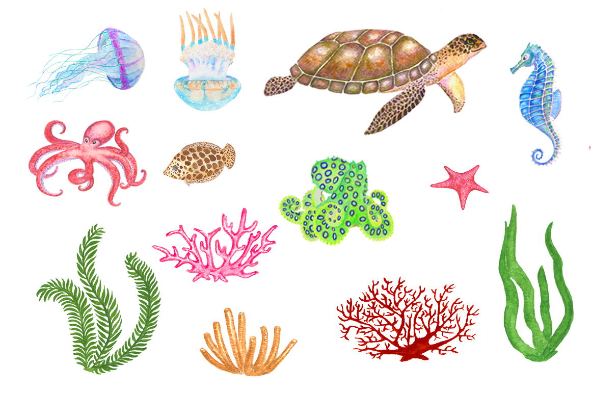 1160x771 Set Of Watercolor Sea Creatures