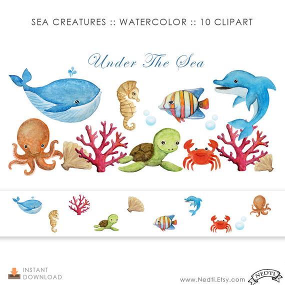 570x570 Watercolor. Sea Creatures Digital Clipart. Painting Download. Etsy