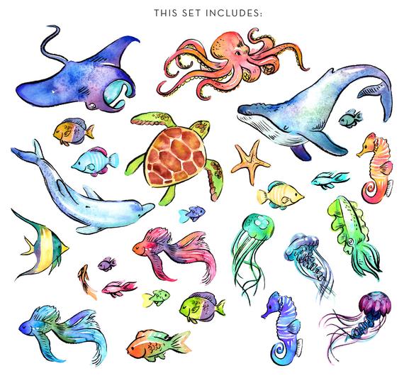 570x540 Watercolor Sea Creatures Clipart Set High Res Png Whales Etsy