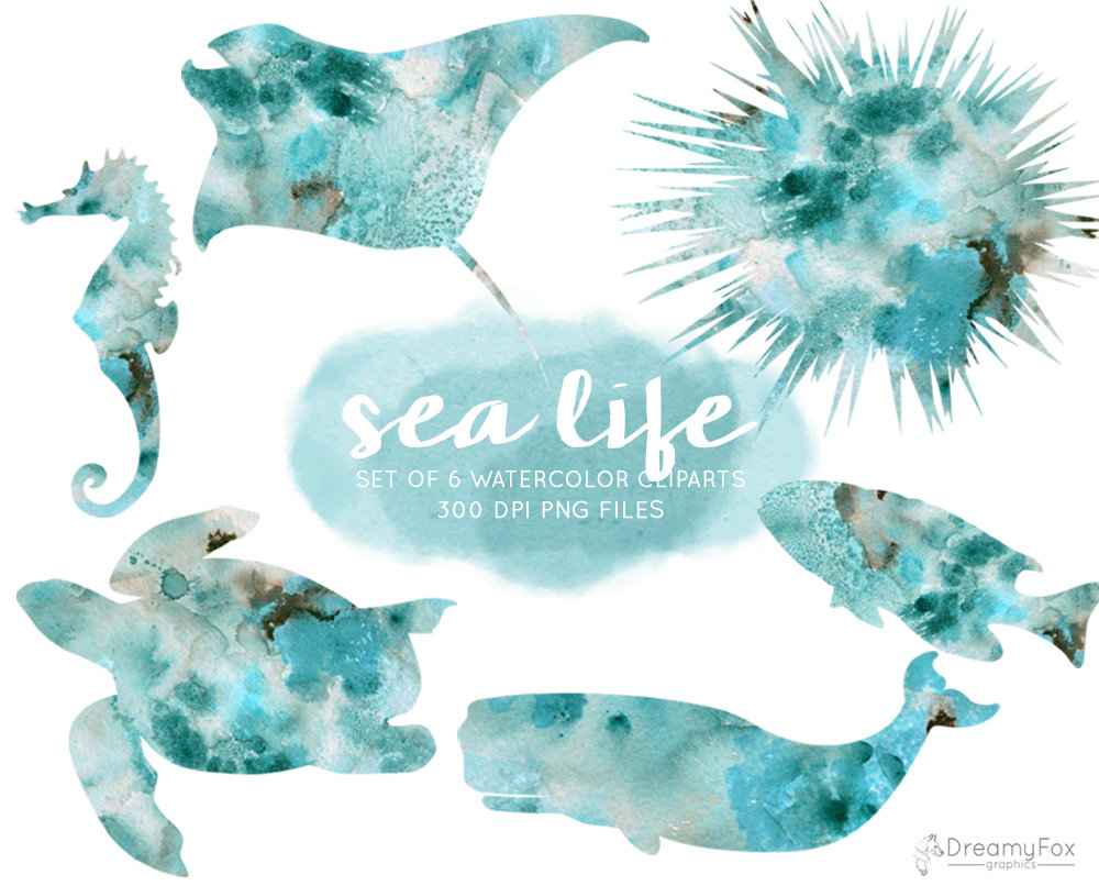 1000x806 Watercolor Sea Life Clipart Set Instant Download Ocean Etsy