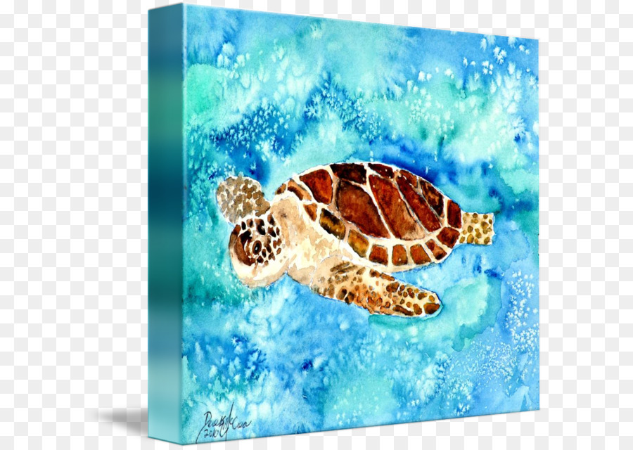 900x640 Sea Turtle Watercolor Painting Art Museum