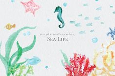 236x157 Sweet Sea Life Watercolor Pack Watercolor And Illustrations