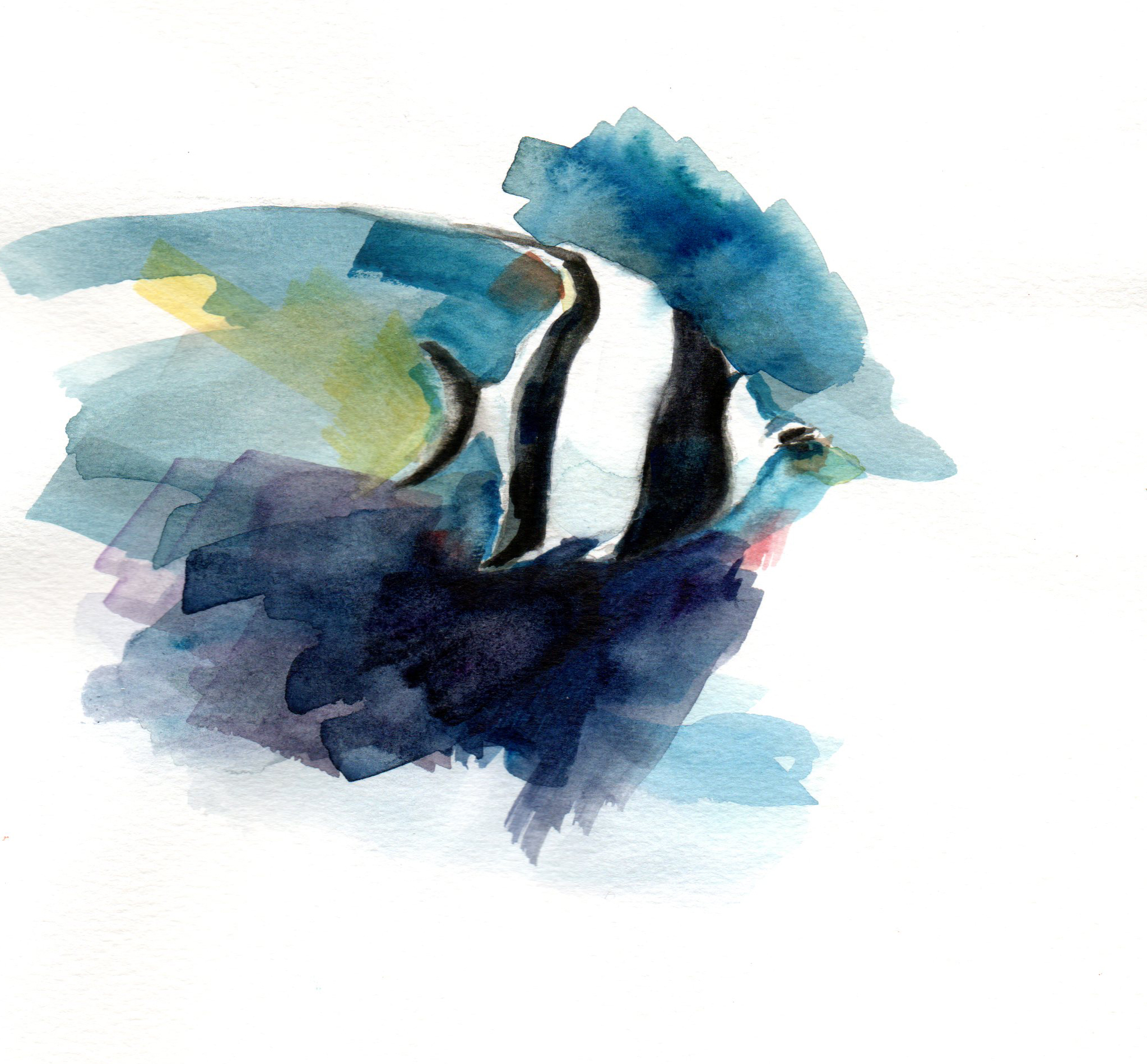 2047x1899 Watercolor Sketch Studies Sea Life (From The Georgia Aquarium