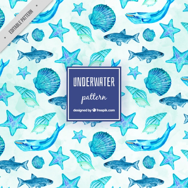 626x626 Watercolor Sea Life Pattern Vector Free Download