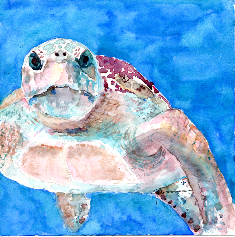 Sea Turtle Watercolor Painting at GetDrawings | Free download