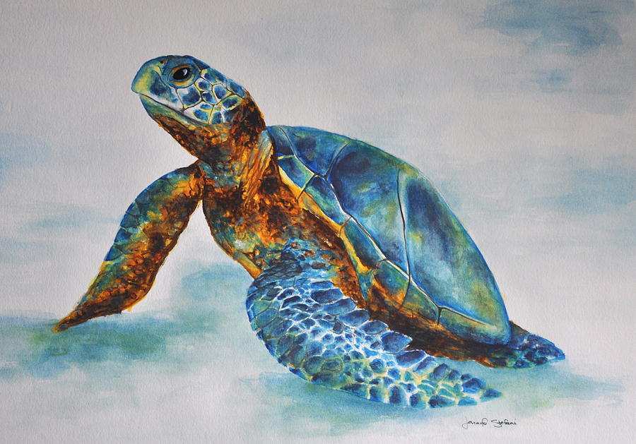 Sea Turtle Watercolor Painting at GetDrawings | Free download