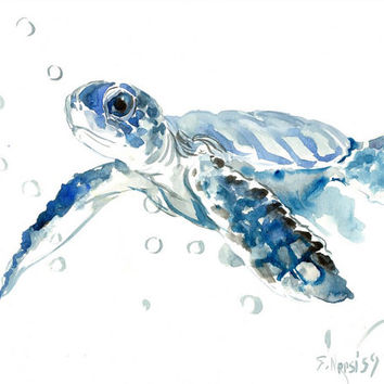 354x354 Best Sea Turtle Painting Products On Wanelo