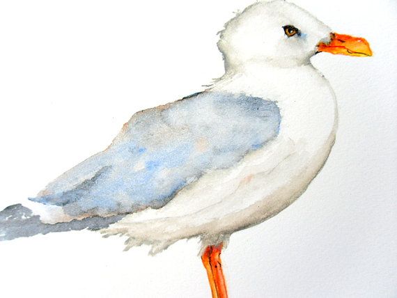 570x428 Original Bird Painting Bird Art Portrait Seagull Watercolor