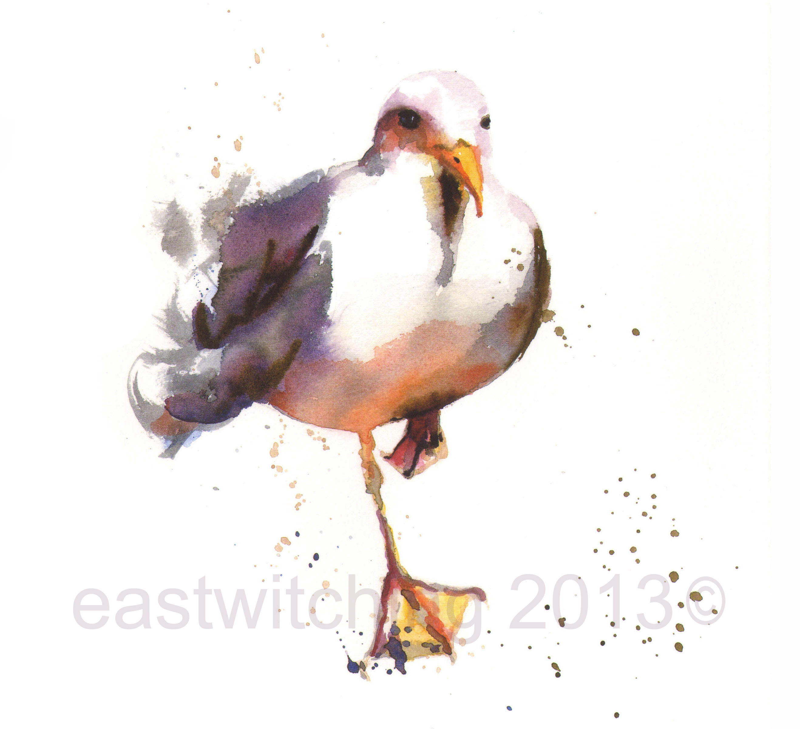 2636x2400 Painting Birds In Watercolour Alison Fennell Art