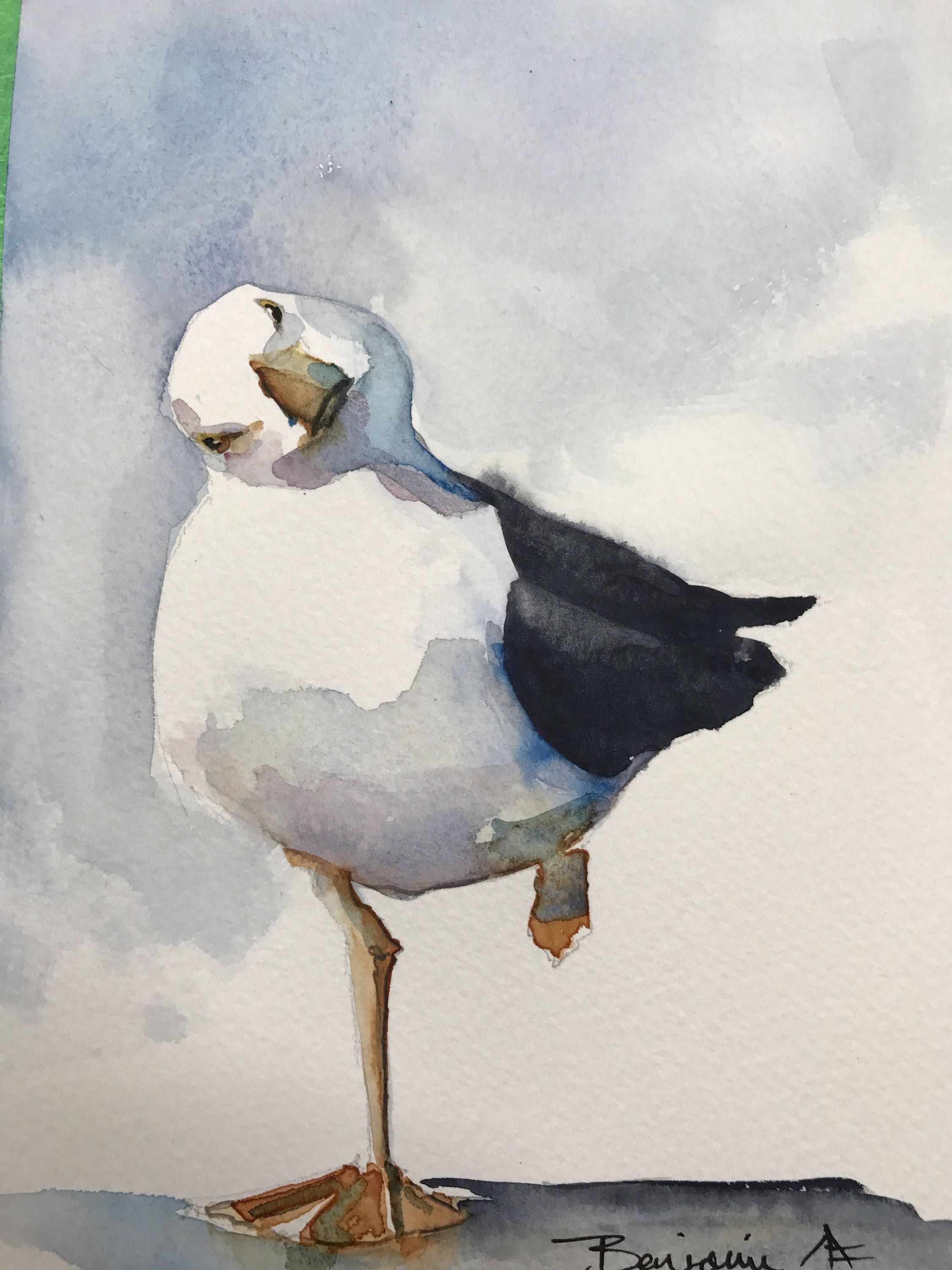 2250x3000 Seagull Wall Art Original Watercolor Painting Watercolour