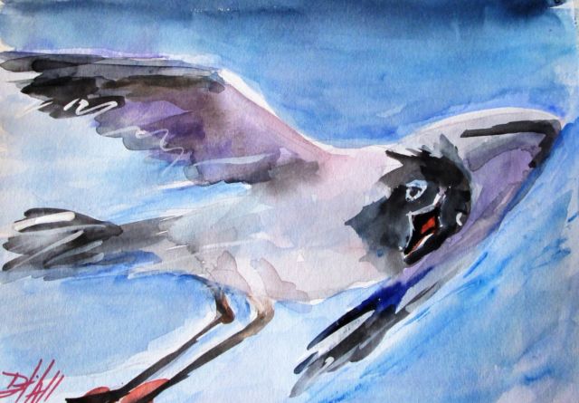640x445 Seagull Bird Gull Watercolor Flying Original Delilah Art Ebay