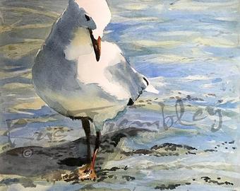 340x270 Seagull Watercolor Etsy