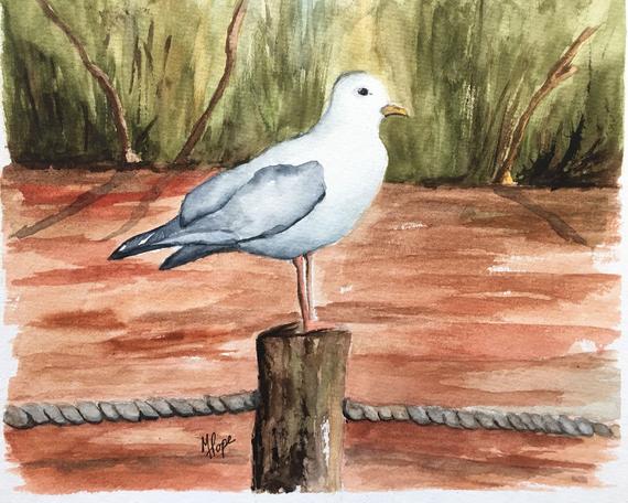 570x456 Seagull Watercolor Paintingseagullwatercolor And Etsy