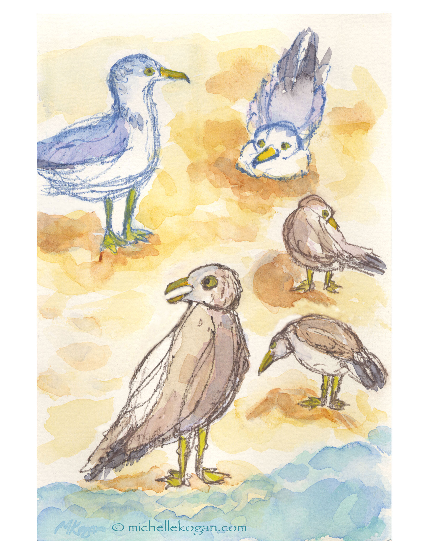 1800x2329 Summer Seagull Watercolor Sketches Michelle Kogan Chicago